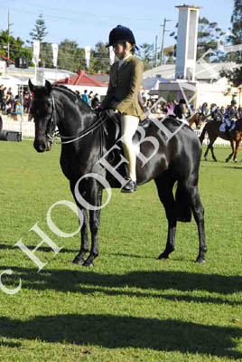 mon300913__421