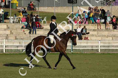 thur31013-a978