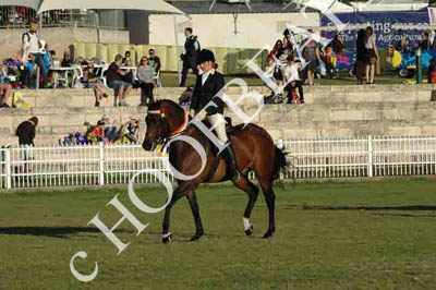 thur31013-a989