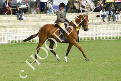 tues11013_462